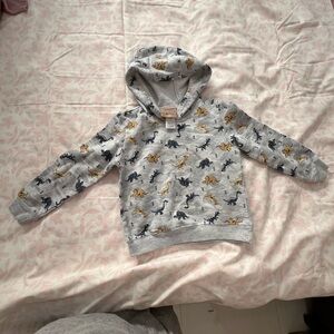 Grey Dino Hoodie Sweatshirt for Kids